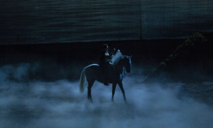 Robe rides the storm