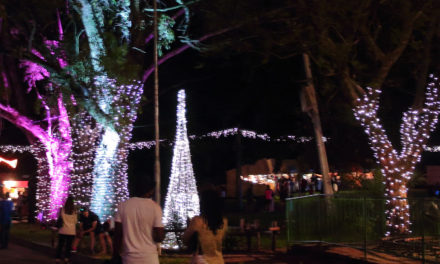 DWR delivers for the Joburg Zoo Festival of Lights
