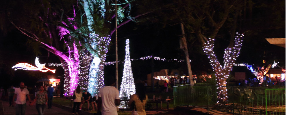 DWR delivers for the Joburg Zoo Festival of Lights