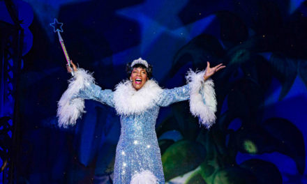 Robert Juliat shines it’s lights on the Panto at Joburg Theatre